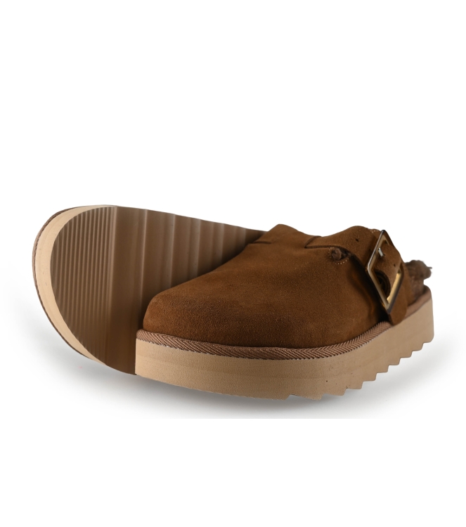 Colors of California Muiltjes