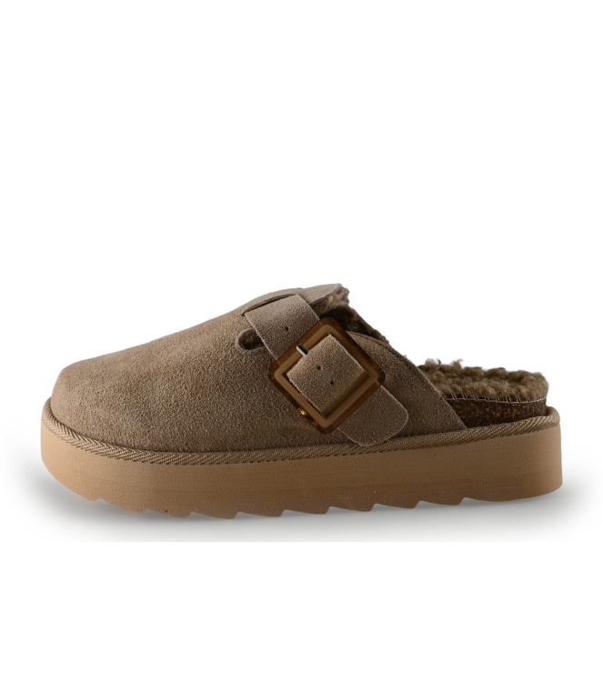 Colors of California Muiltjes