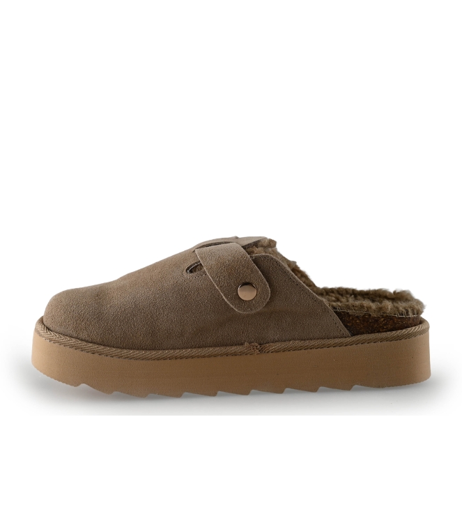 Colors of California Muiltjes