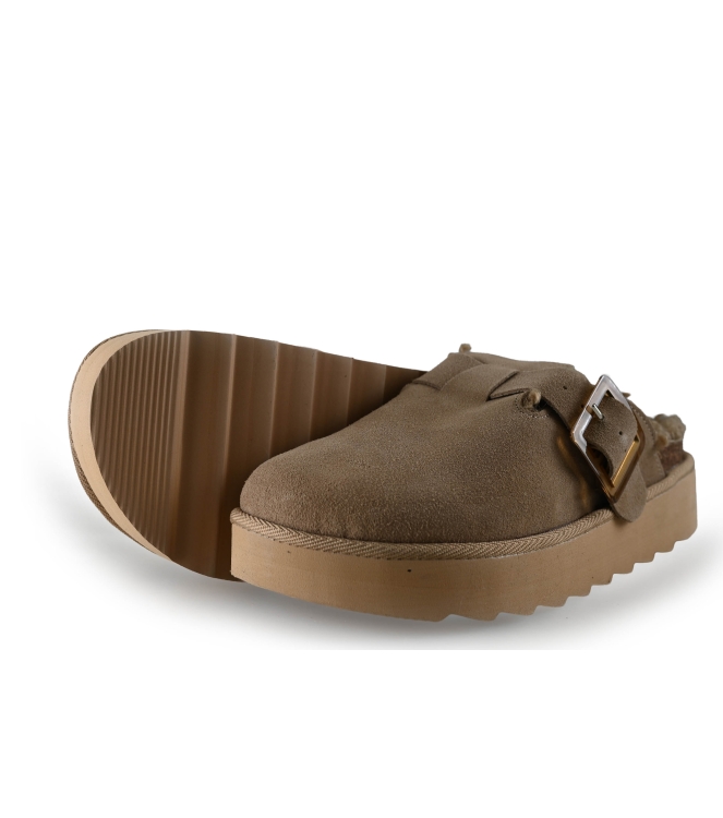 Colors of California Muiltjes