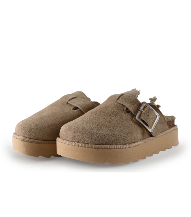 Colors of California Muiltjes