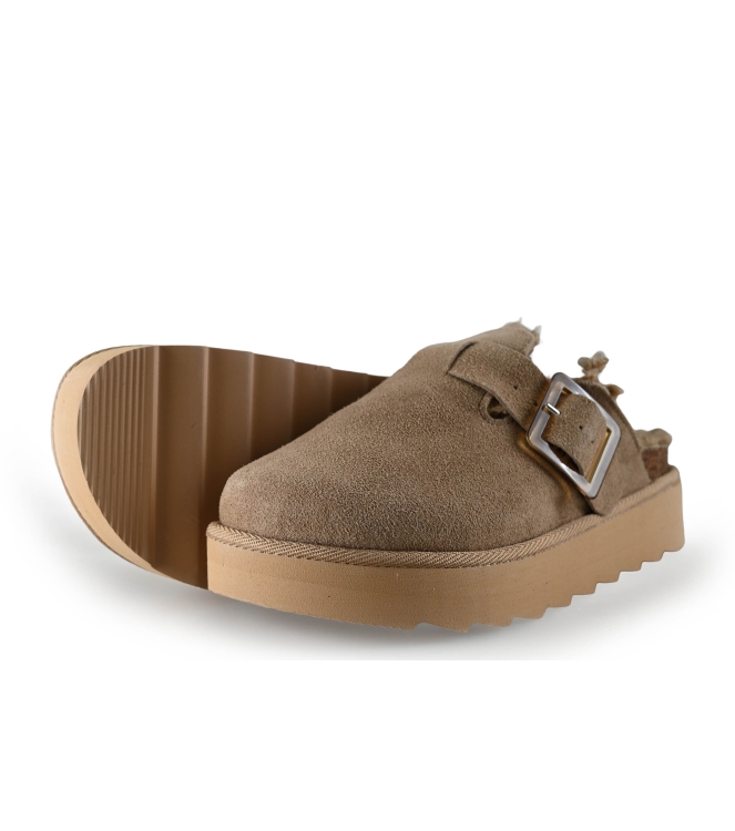 Colors of California Muiltjes