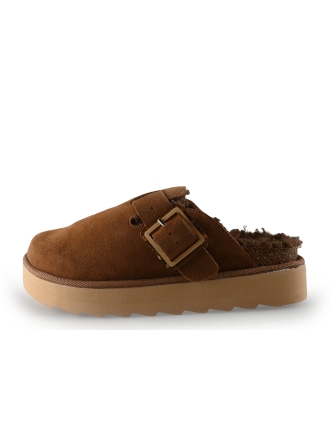 Colors of California Muiltjes Bruin 315839