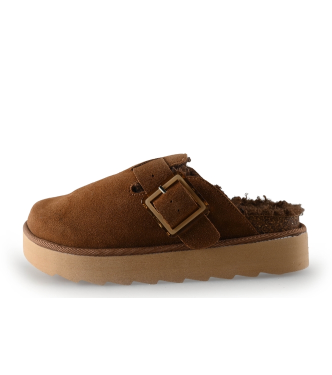 Colors of California Muiltjes