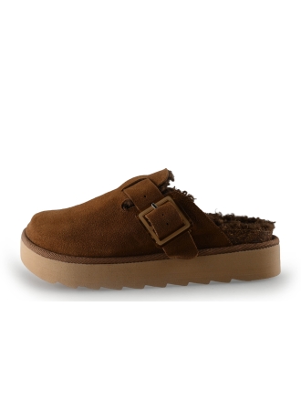 Colors of California Muiltjes Bruin 315844