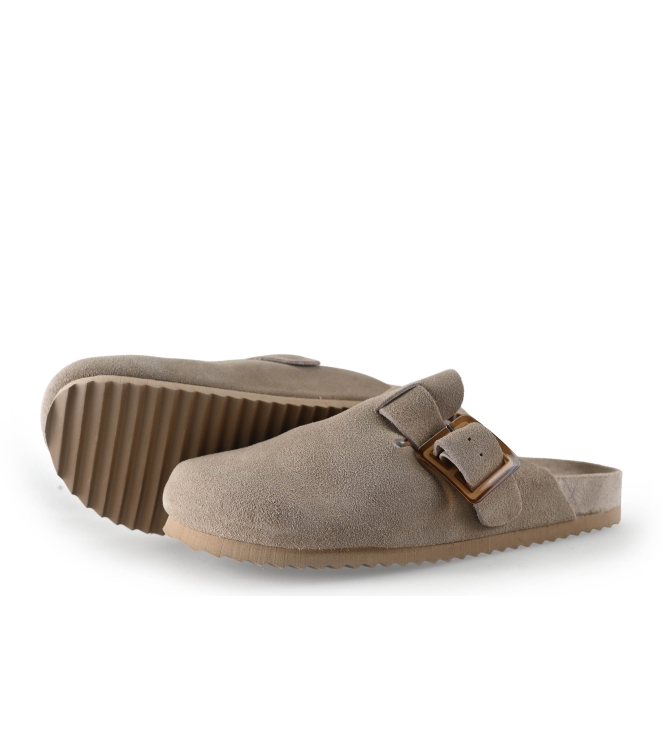 Colors of California Muiltjes