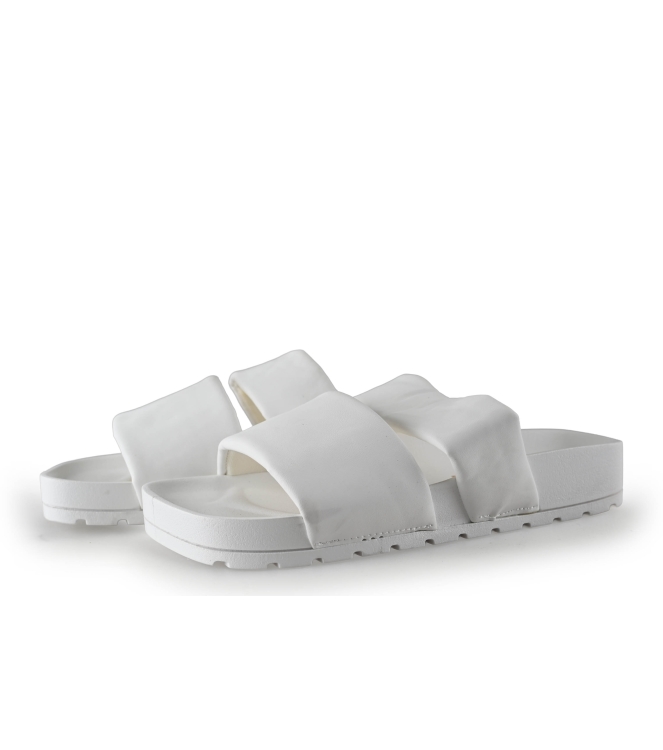 Colors of California Muiltjes