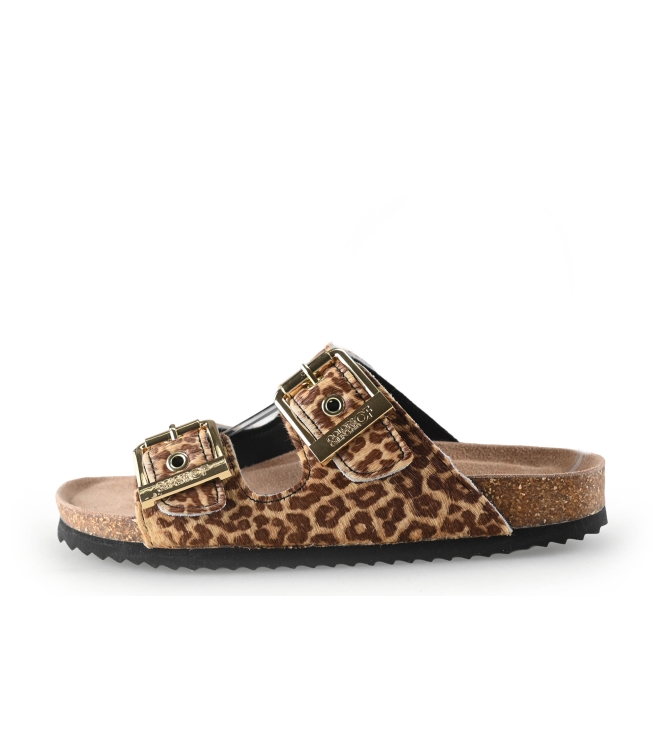 Colors of California Muiltjes