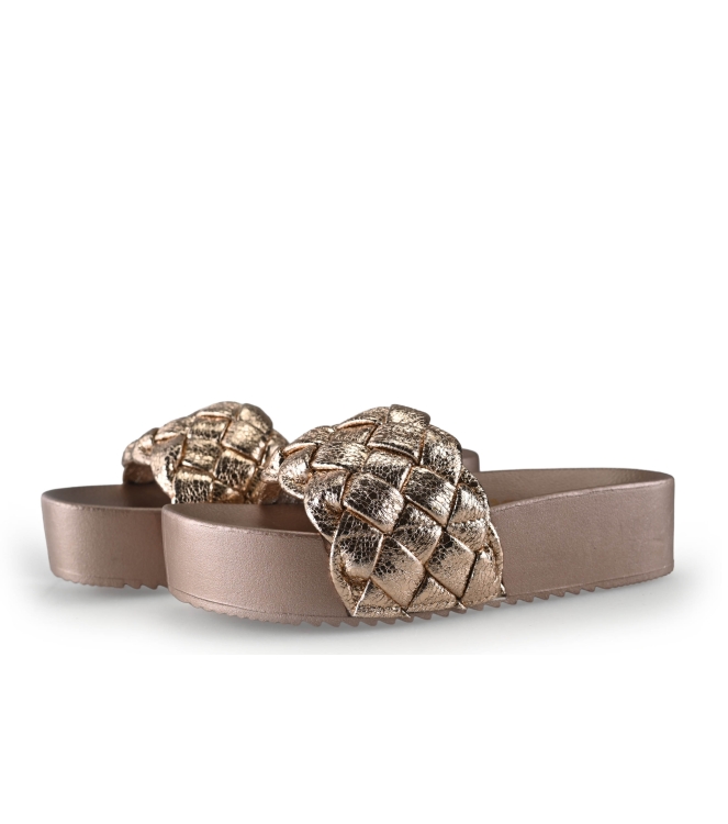 Colors of California Muiltjes