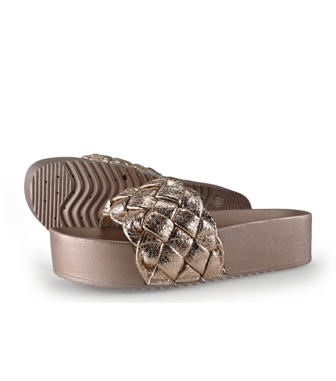 Colors of California Muiltjes