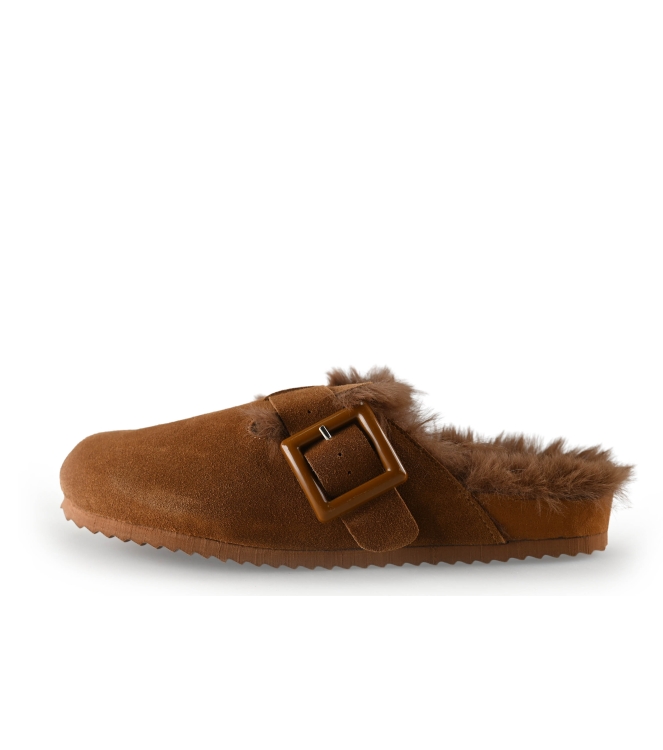 Colors of California Muiltjes