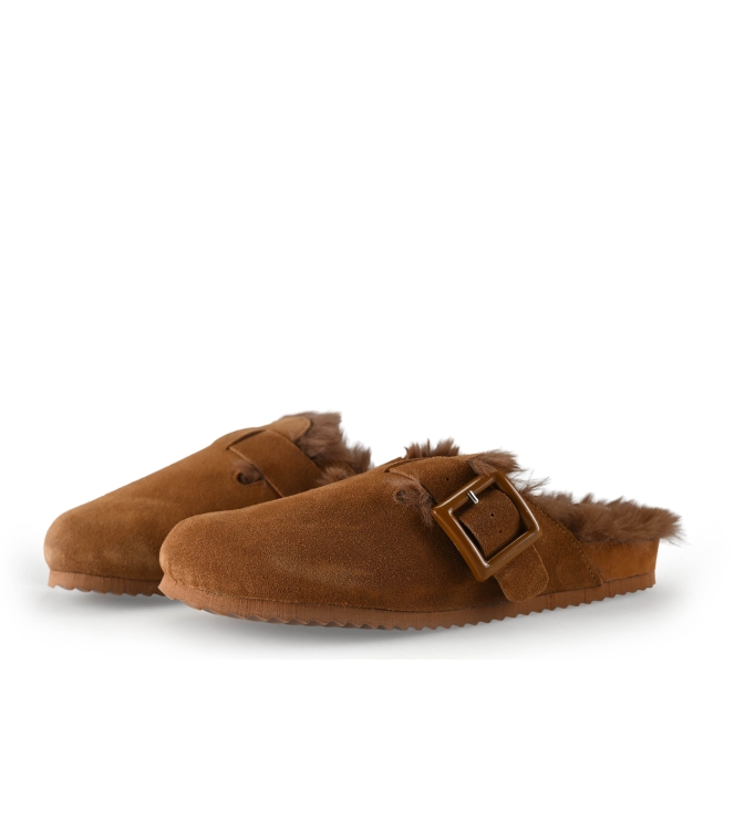 Colors of California Muiltjes