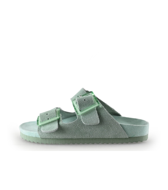 Colors of California Muiltjes