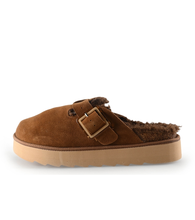 Colors of California Muiltjes