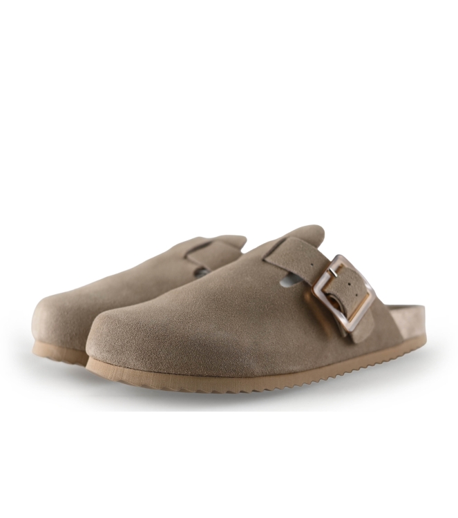 Colors of California Muiltjes