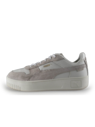 Puma Sneakers Grijs 317493