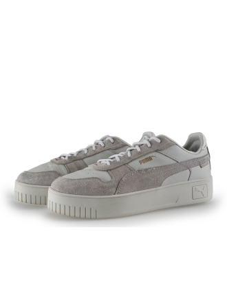 Puma Sneakers Grijs 317493