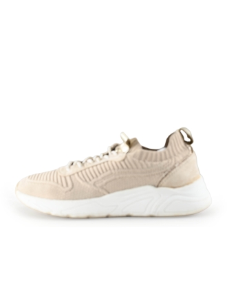 Nelson Sneakers Beige 317930