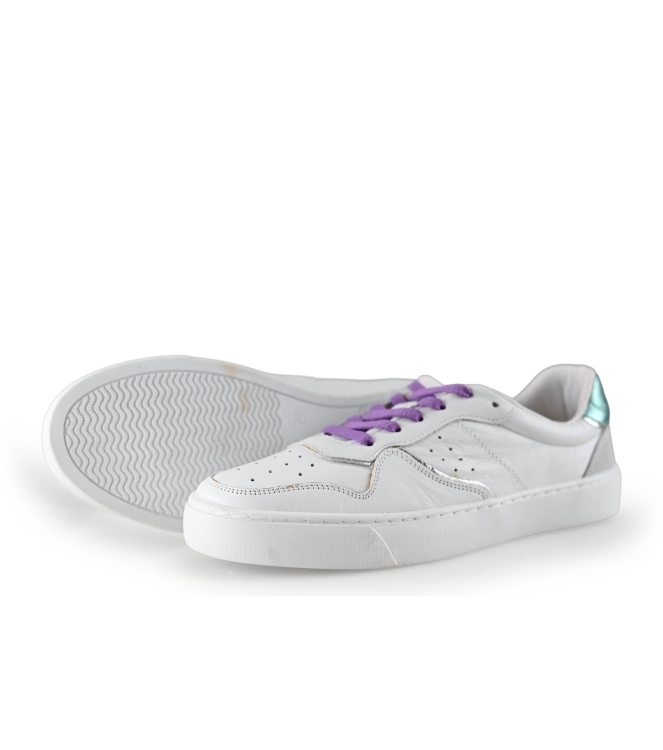 Colors of California Sneakers