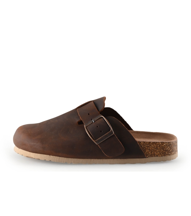 Colors of California Muiltjes