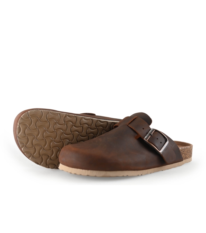 Colors of California Muiltjes