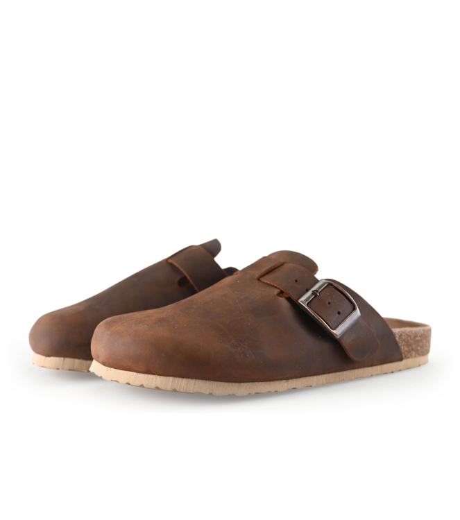 Colors of California Muiltjes