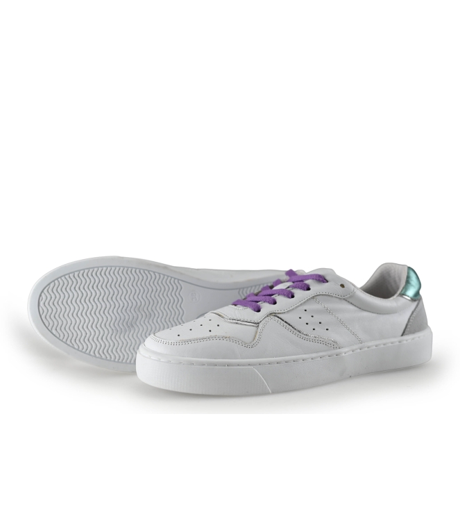 Colors of California Sneakers