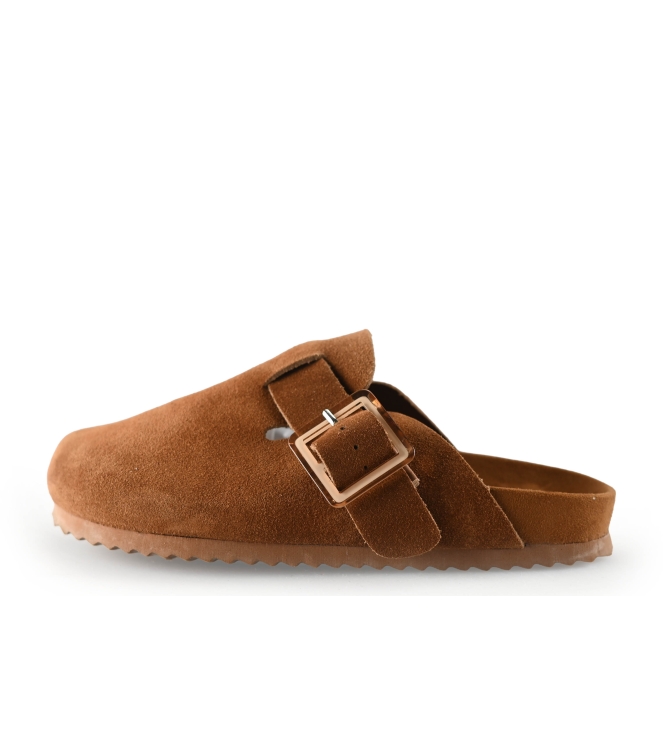 Colors of California Muiltjes