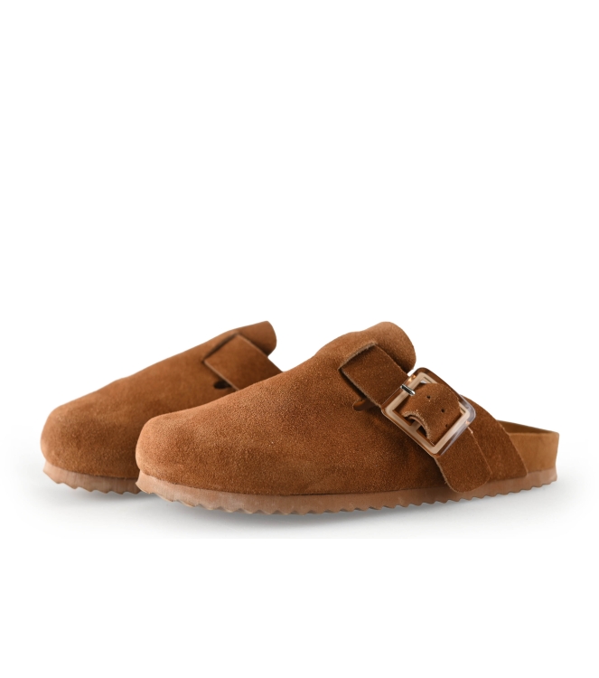 Colors of California Muiltjes