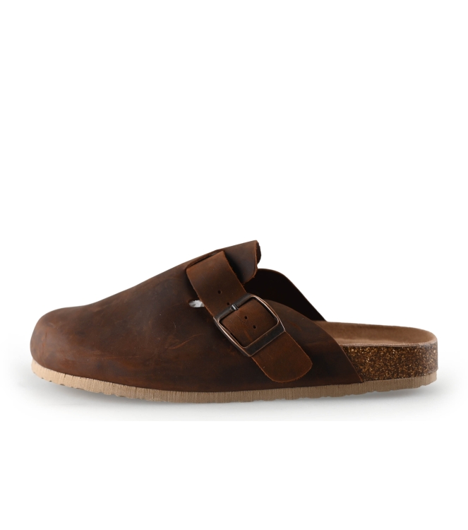 Colors of California Muiltjes