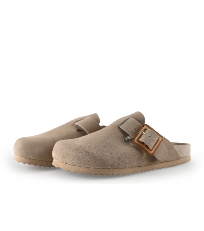 Colors of California Muiltjes