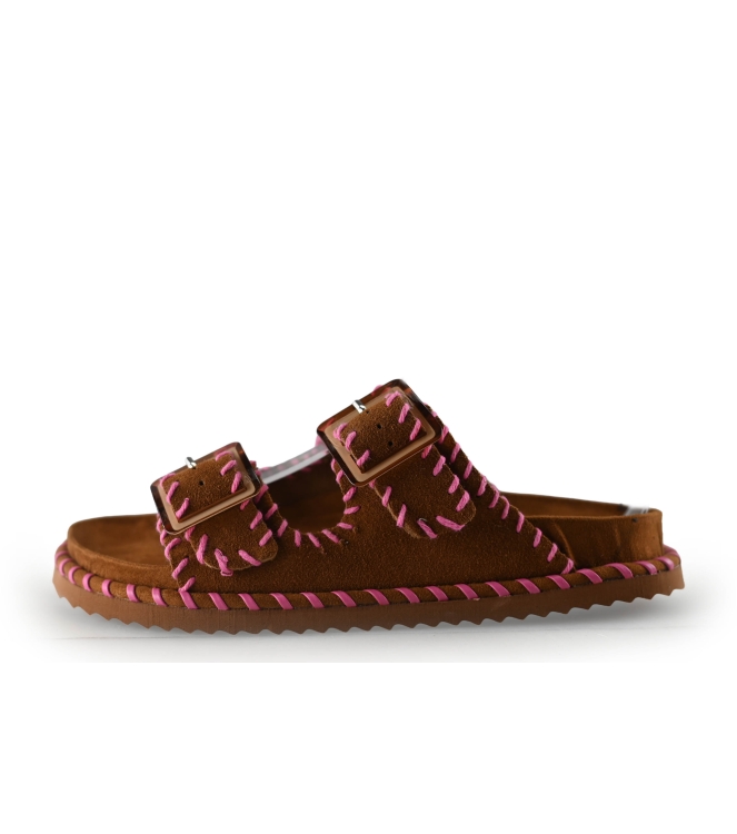 Colors of California Muiltjes