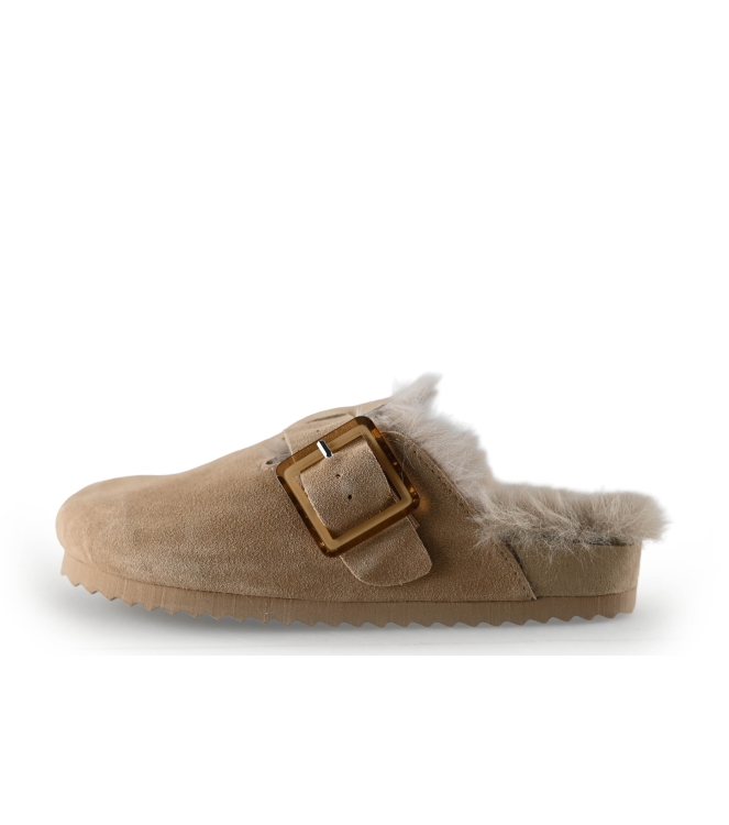 Colors of California Muiltjes