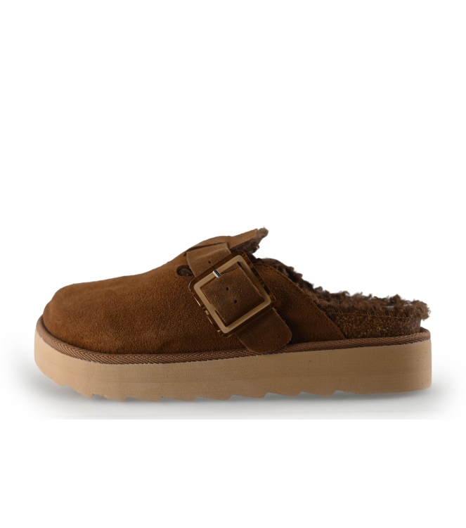 Colors of California Muiltjes