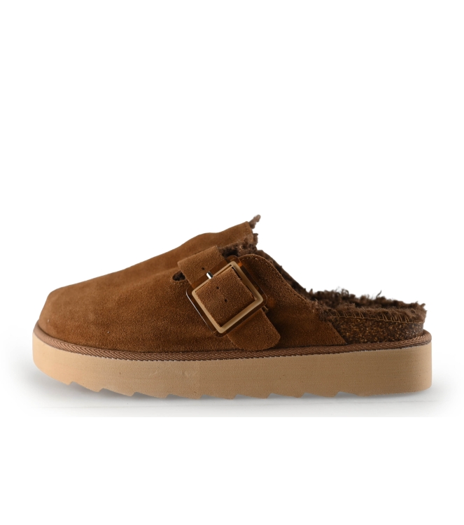 Colors of California Muiltjes