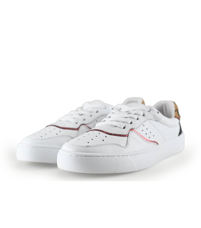 Colors of California Sneakers