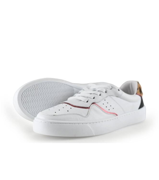 Colors of California Sneakers