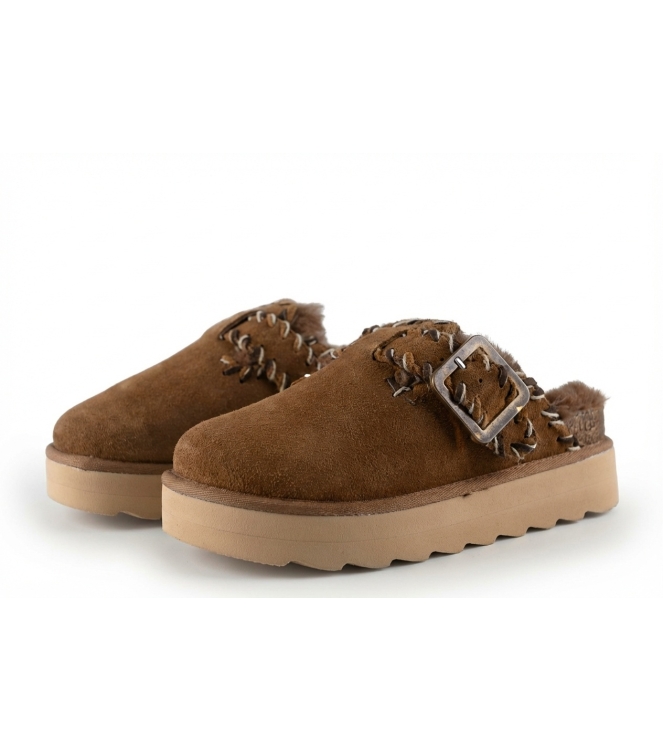 Colors of California Muiltjes