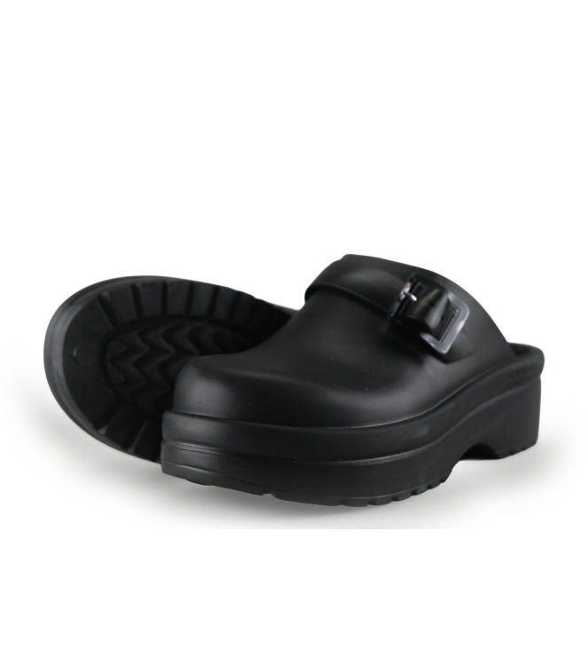 Colors of California Muiltjes