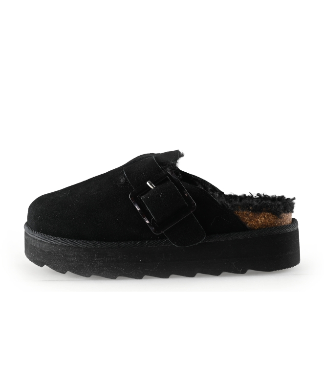 Colors of California Muiltjes