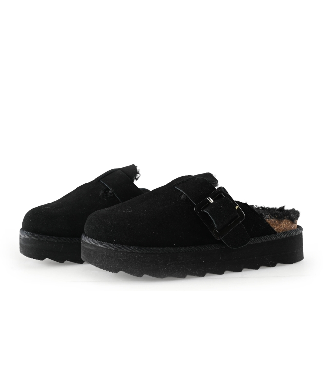 Colors of California Muiltjes