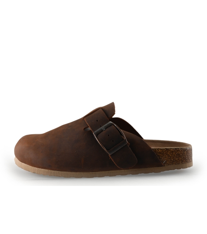 Colors of California Muiltjes