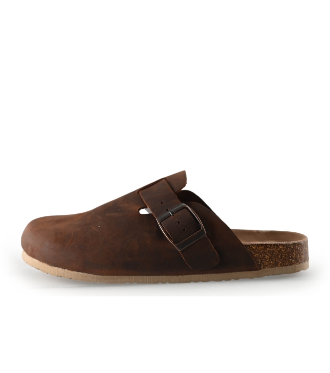 Colors of California Muiltjes