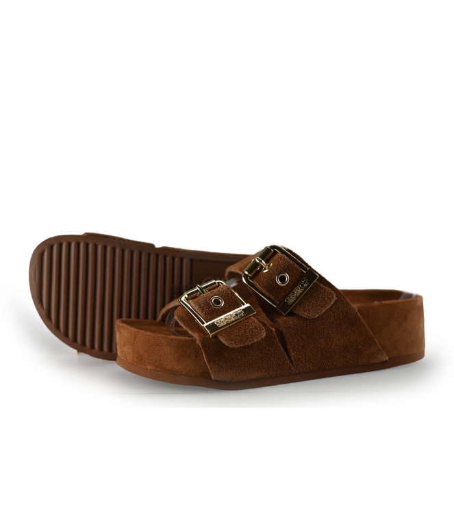 Colors of California Muiltjes