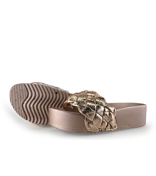 Colors of California Muiltjes