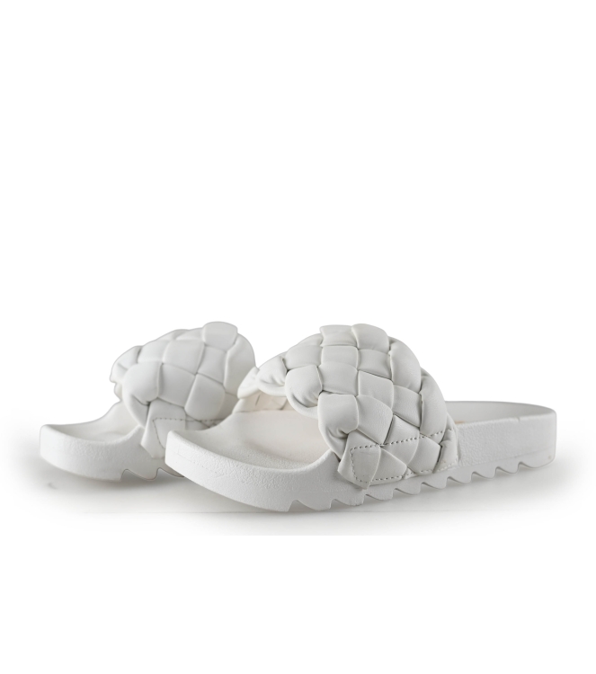 Colors of California Muiltjes