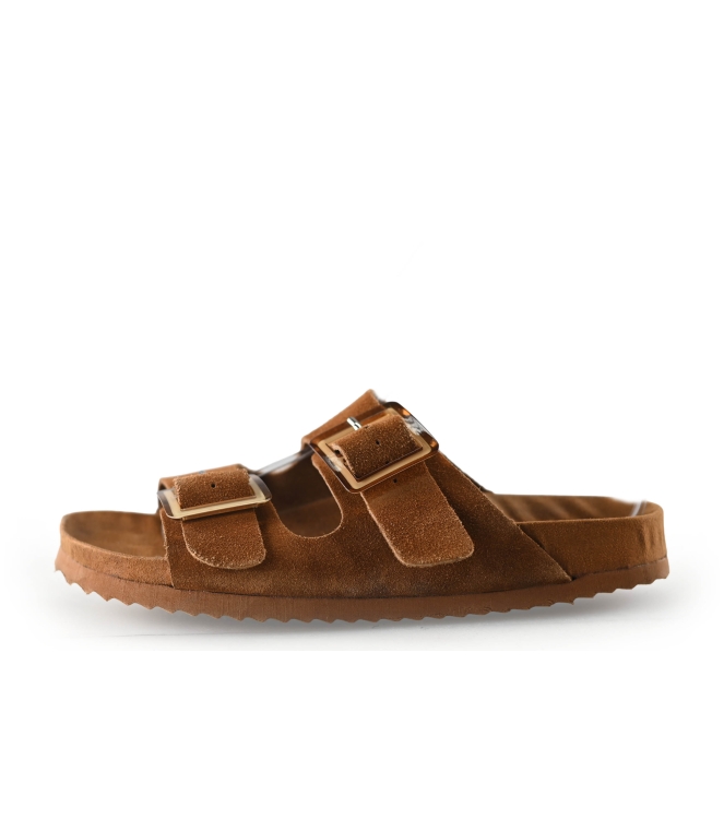 Colors of California Muiltjes