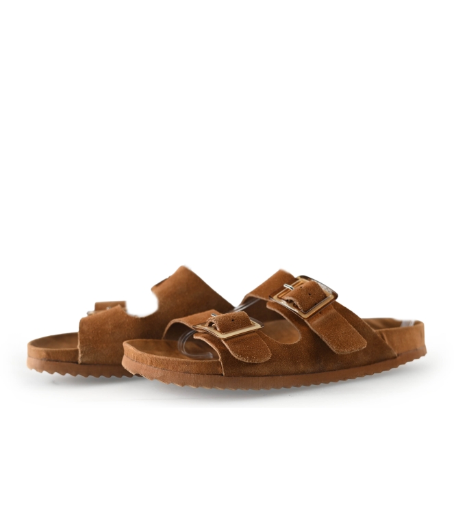 Colors of California Muiltjes