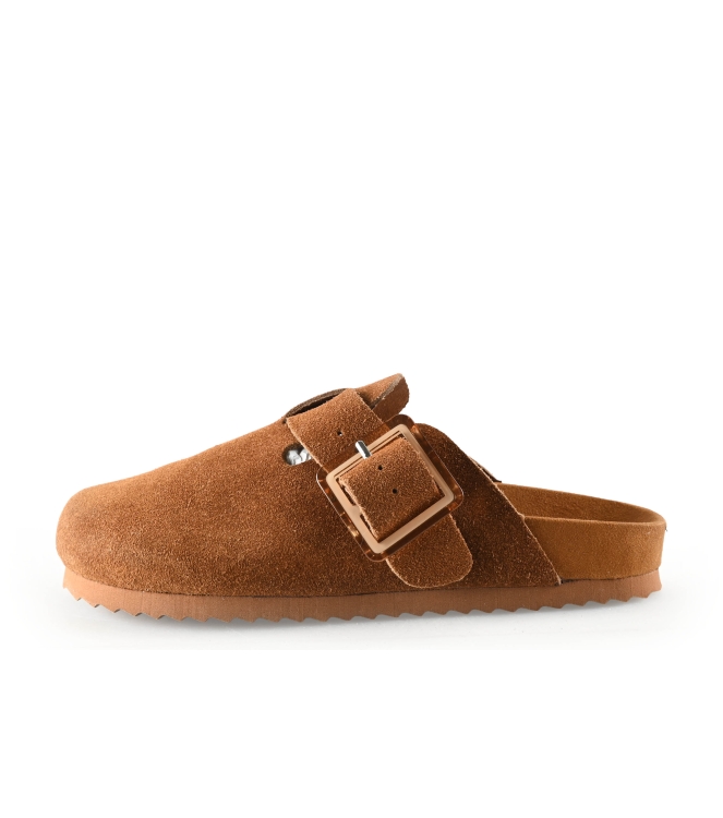 Colors of California Muiltjes