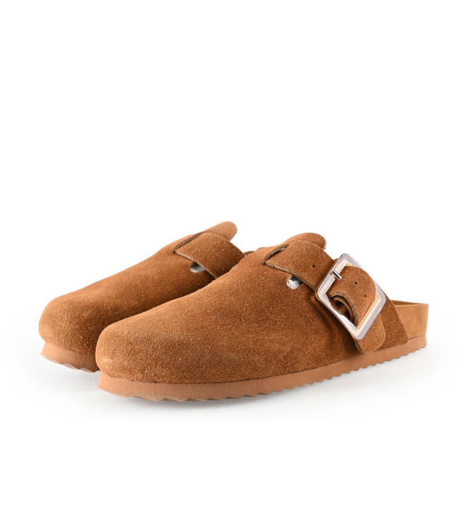 Colors of California Muiltjes